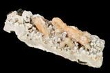 Peach Stilbite Crystals on Sparkling Quartz Chalcedony - India #168759-2